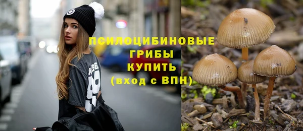 ПСИЛОЦИБИНОВЫЕ ГРИБЫ Дмитровск