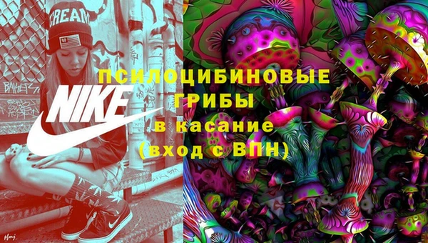тгк Рославль