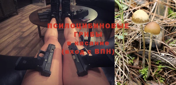 a pvp Дмитриев