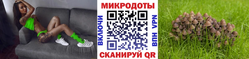 Псилоцибиновые грибы GOLDEN TEACHER  закладка  Верхнеуральск 